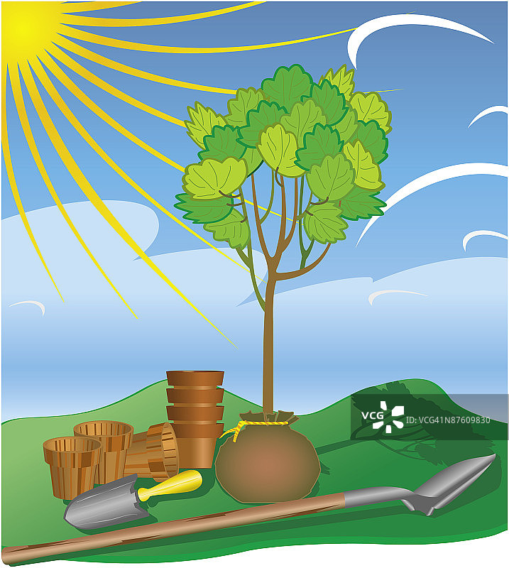 美丽的自然风光图片素材