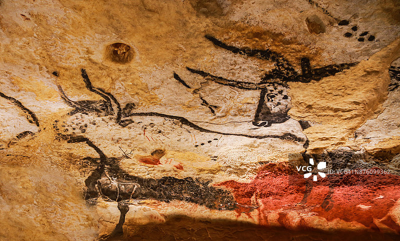 拉斯科洞穴中的动物壁画照片，国际岩洞艺术中心图片素材