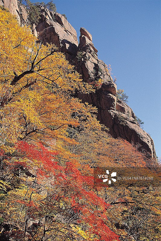 24138185图片素材