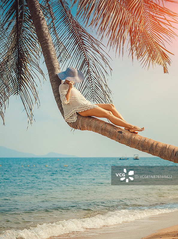 女人坐在棕榈树上图片素材