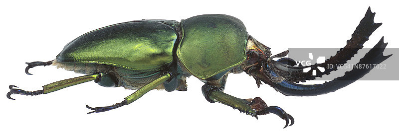 23630030图片素材