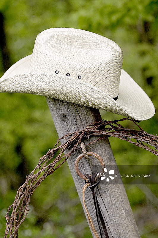 柱子上的牛仔帽和套索图片素材