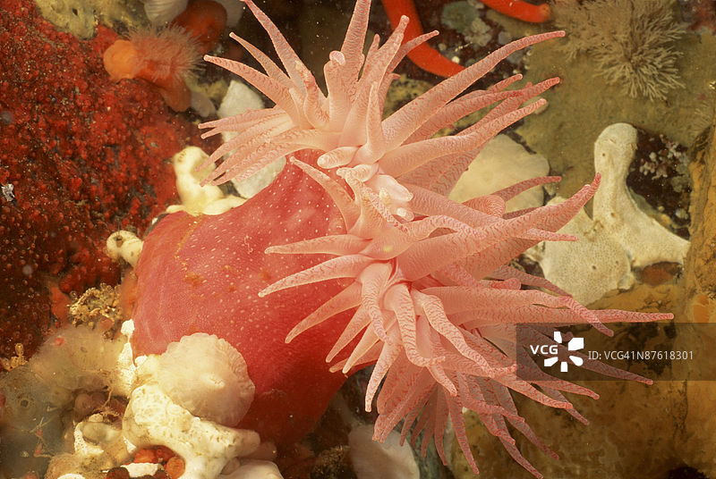 24026912图片素材