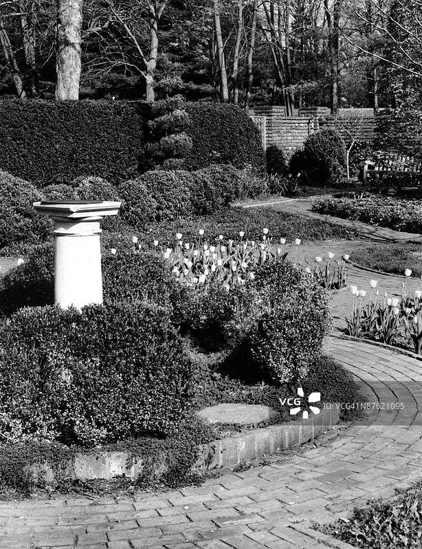 黑白线描图图片素材