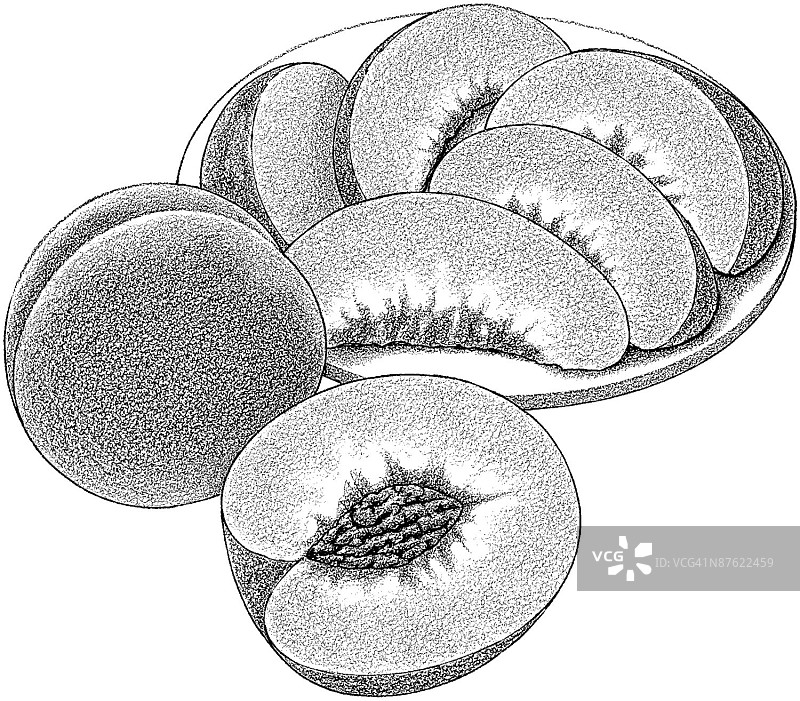 LiquidLibrary图片素材