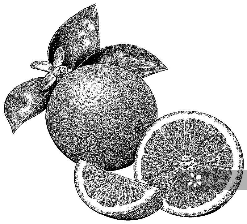 LiquidLibrary图片素材