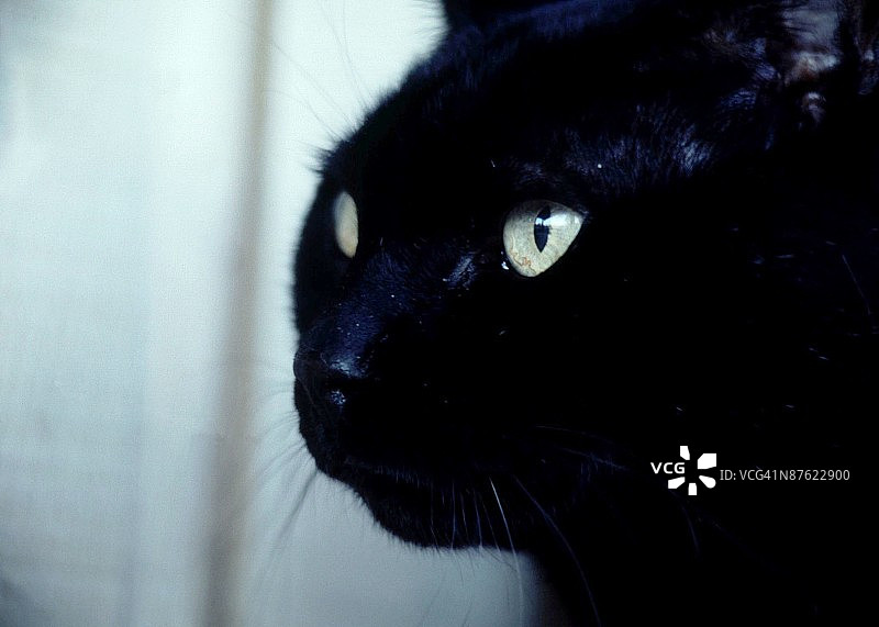 24108306图片素材