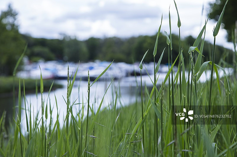 法国勃艮第-弗朗什-孔泰大区，塞沃，上索恩省，萨瓦约港码头和索恩河后方的草图片素材