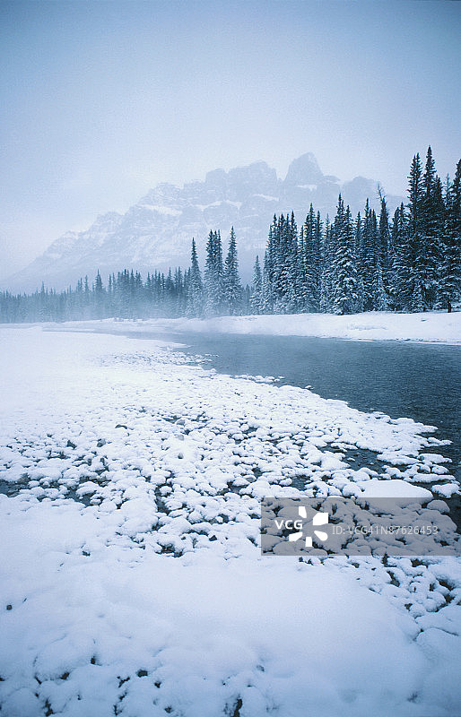 冬季流经常绿森林的河流图片素材