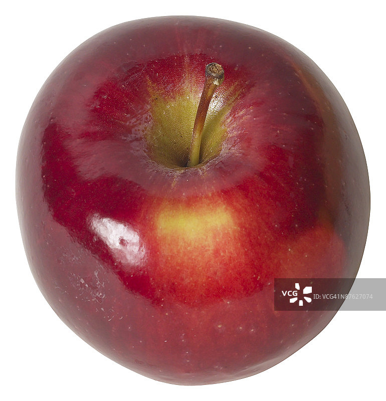 23573262图片素材