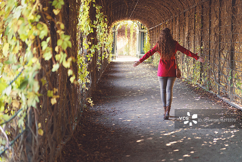 维也纳的秋天图片素材