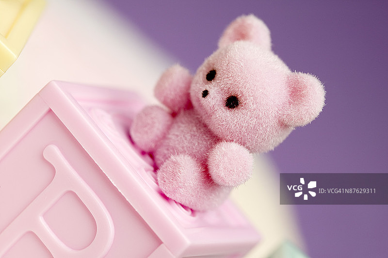 积木和泰迪熊图片素材