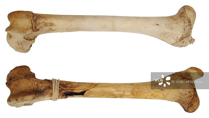 23652217图片素材