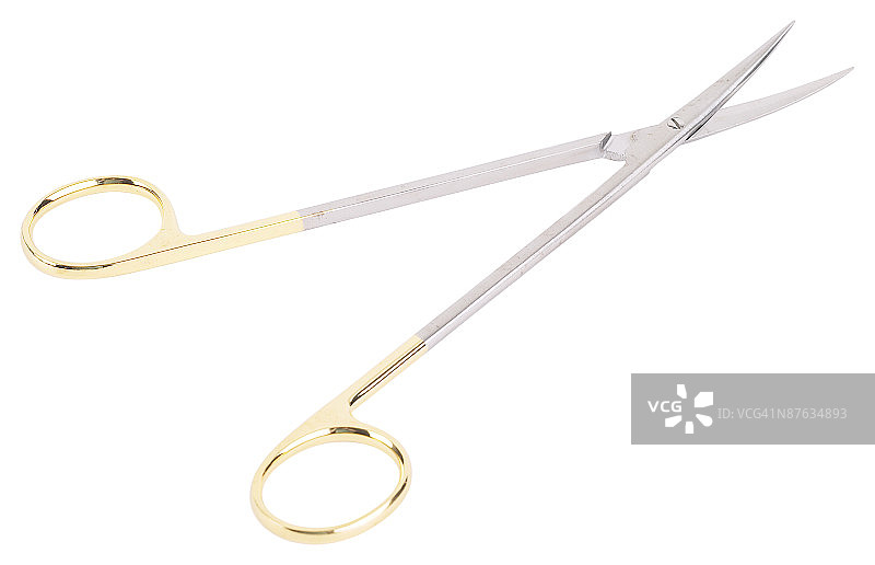 23646119图片素材