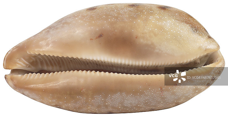 23598693图片素材