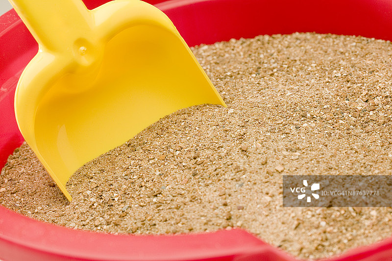 沙滩桶和铲子图片素材