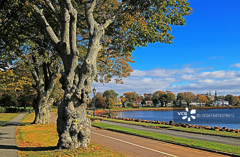 加拿大爱德华王子岛夏洛特敦风光图片素材