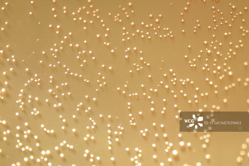 液体中的气泡图片素材