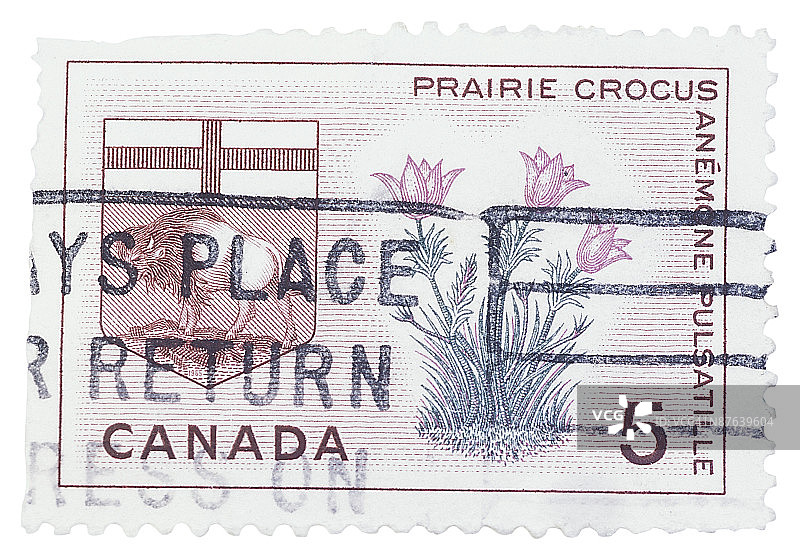 23643227图片素材