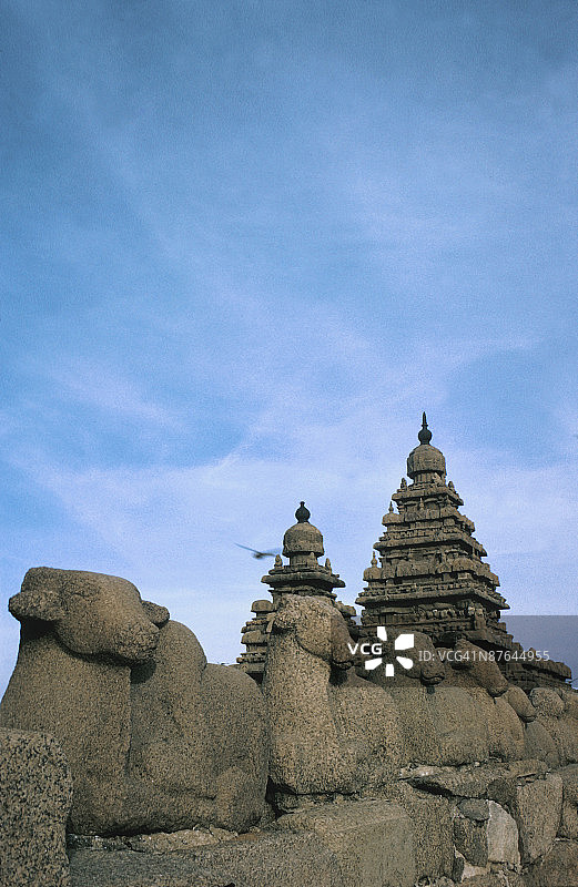 牲畜雕刻图片素材