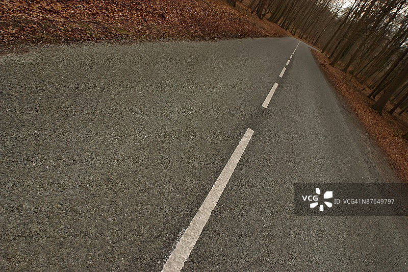 24069405图片素材