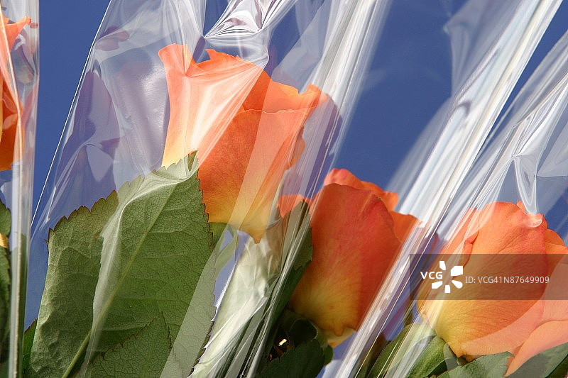 24072389图片素材