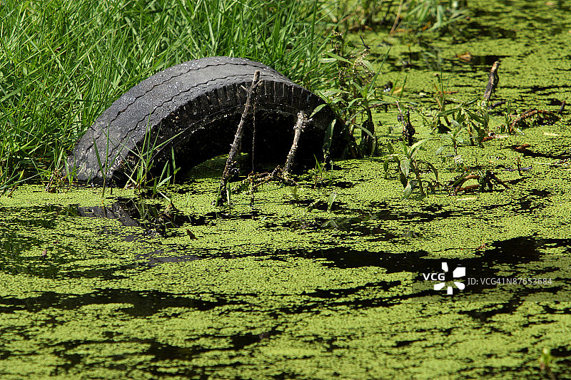 池塘里的轮胎图片素材