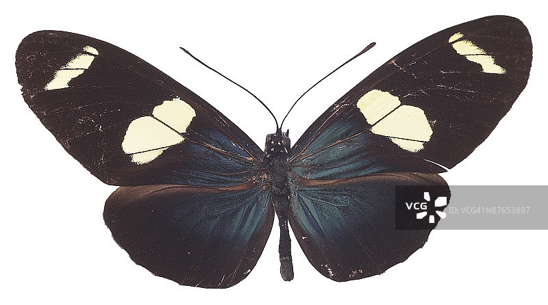 23610948图片素材