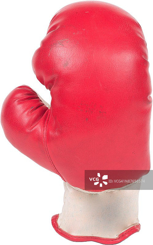 23970308图片素材