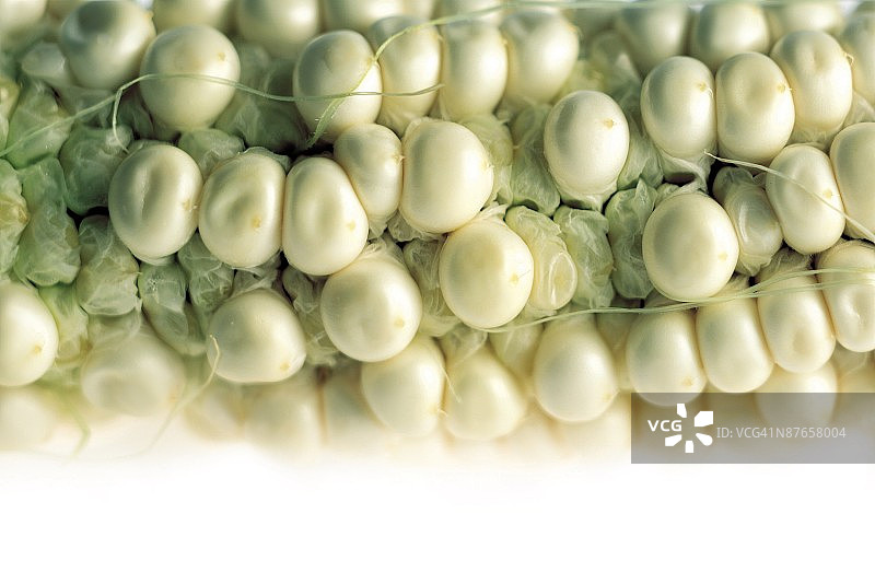 甜玉米图片素材