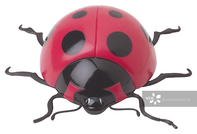 23581874图片素材