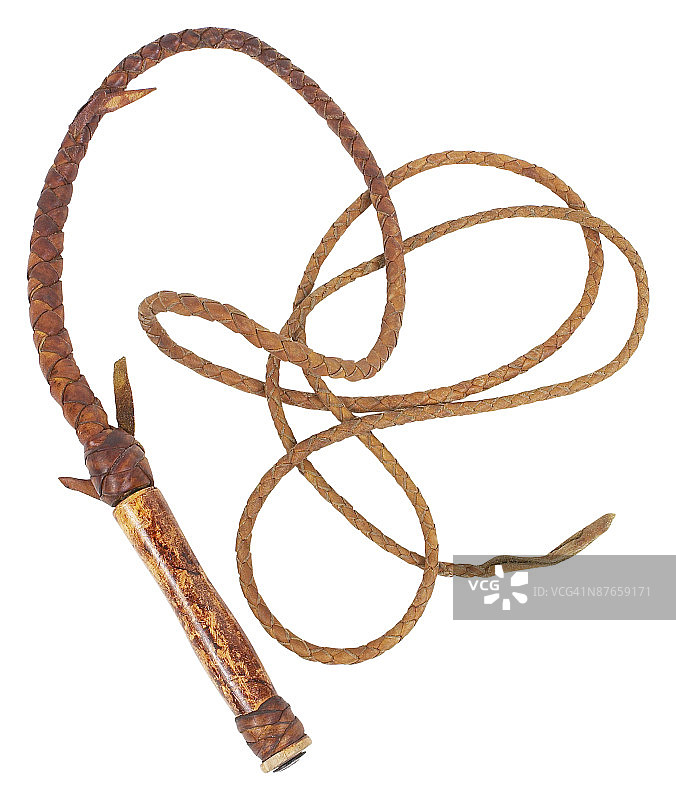 23654484图片素材