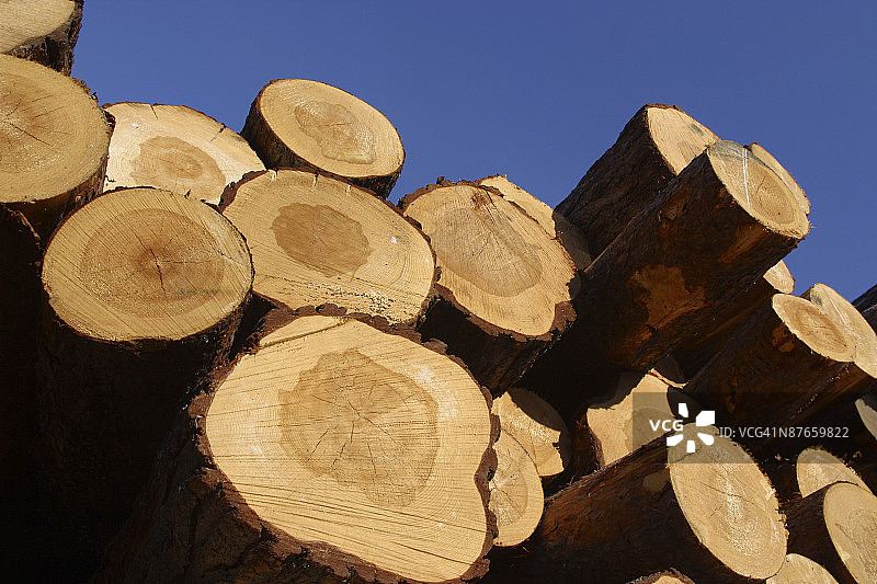 堆叠的原木图片素材
