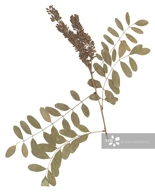 23604797图片素材