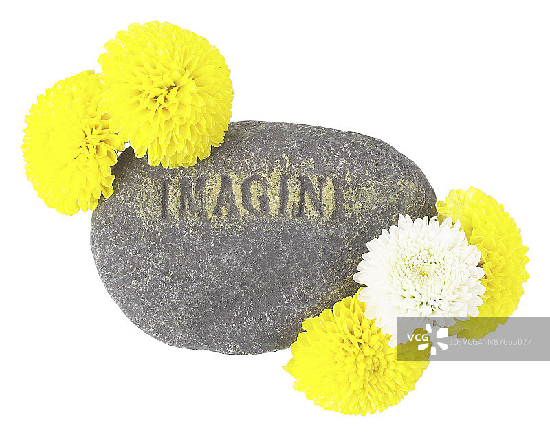 23610493图片素材