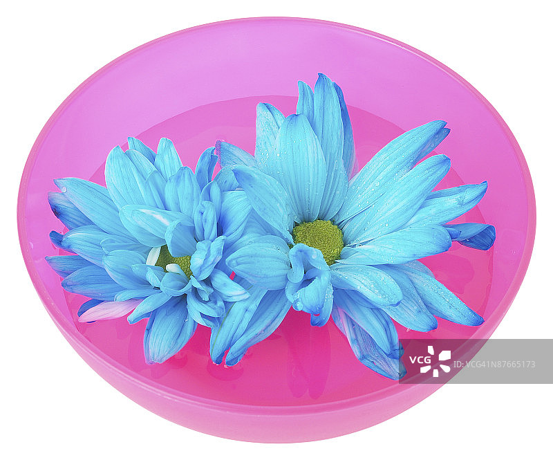 高质量视觉素材图片素材