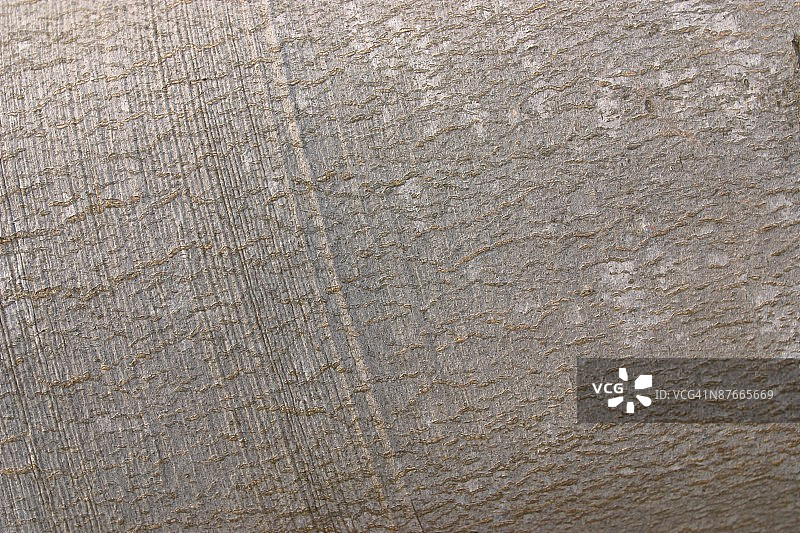 24069293图片素材