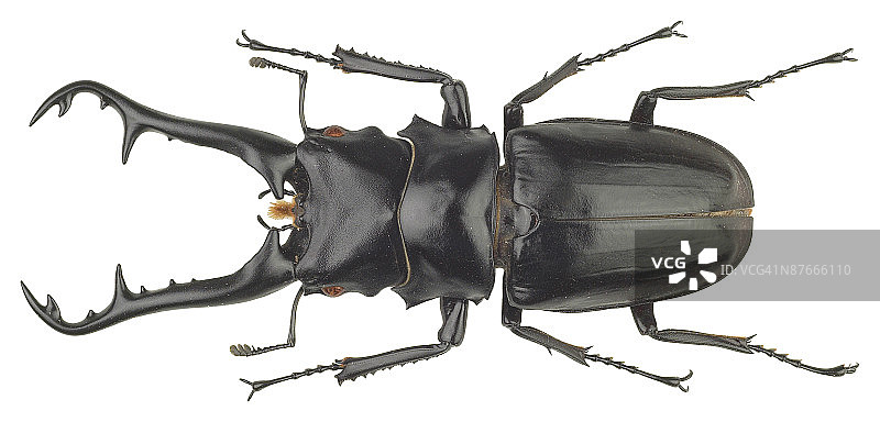 23599032图片素材