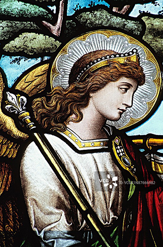 23902634图片素材