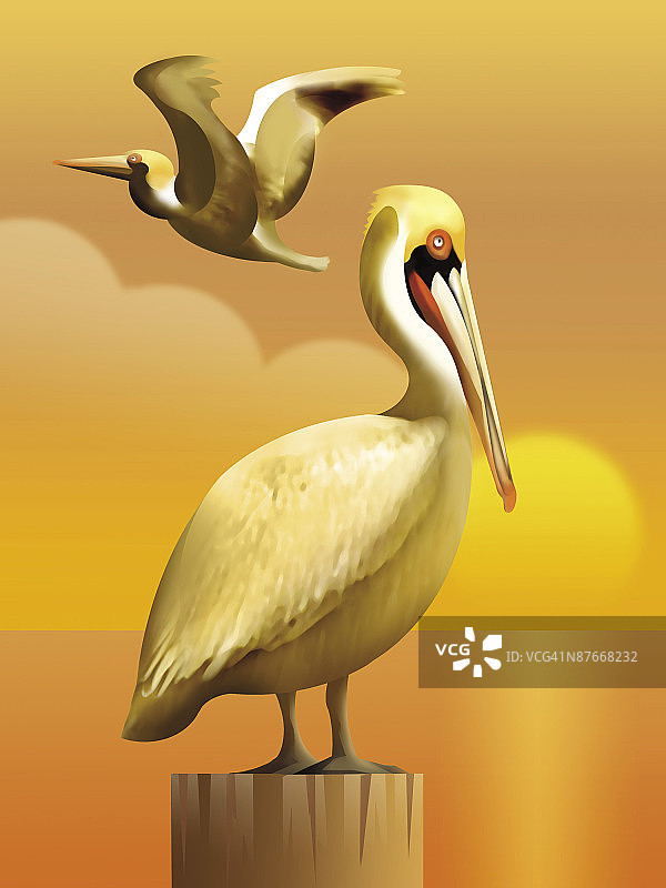 鸟栖息在木头上的特写镜头图片素材