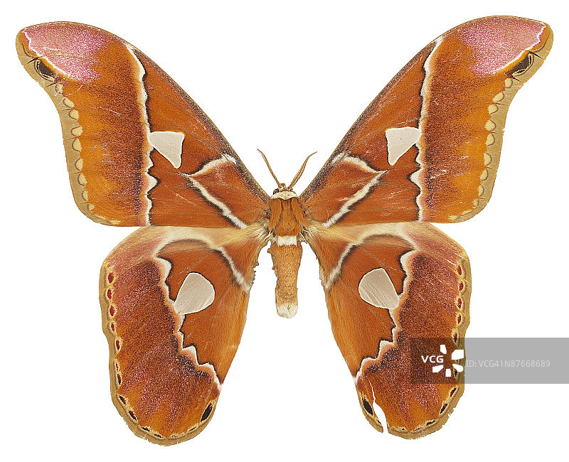 23599066图片素材