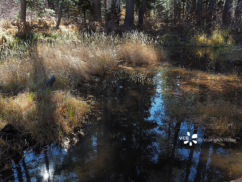 加利福尼亚州格伦高山温泉度假村的历史苏打泉图片素材