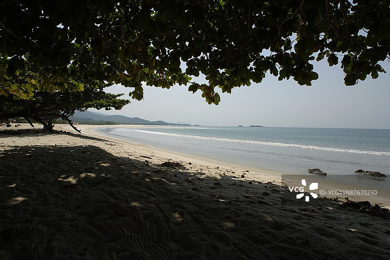 风景如画的海滩和树木图片素材