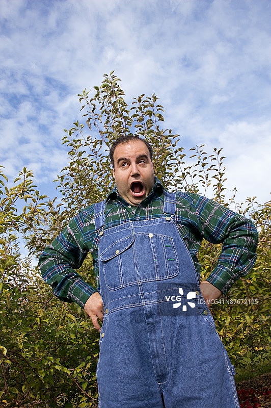 穿着工作服在果园里做鬼脸的加大码男人图片素材