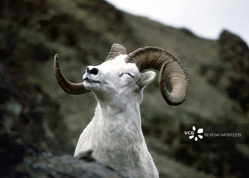 24111047图片素材