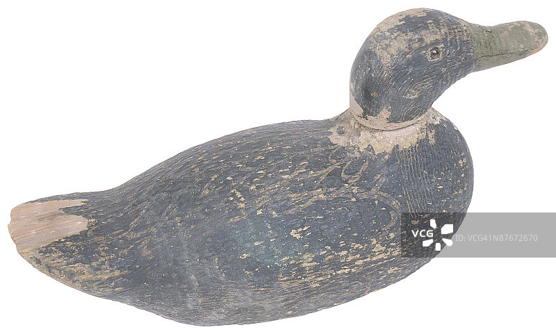 23599736图片素材