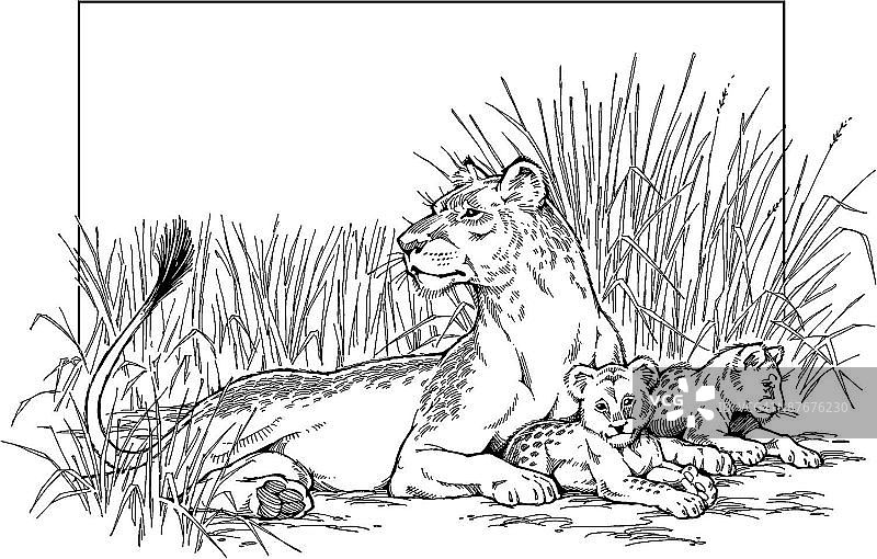 LiquidLibrary图片素材