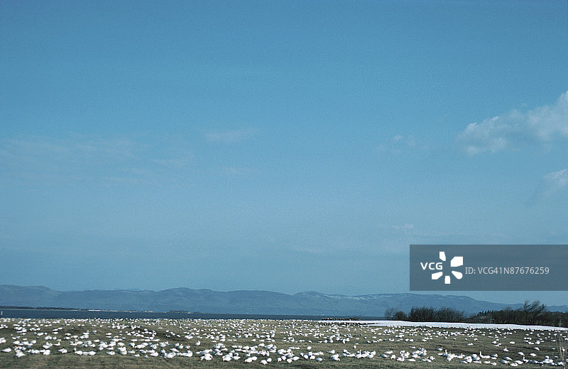 加拿大魁北克乡村图片素材