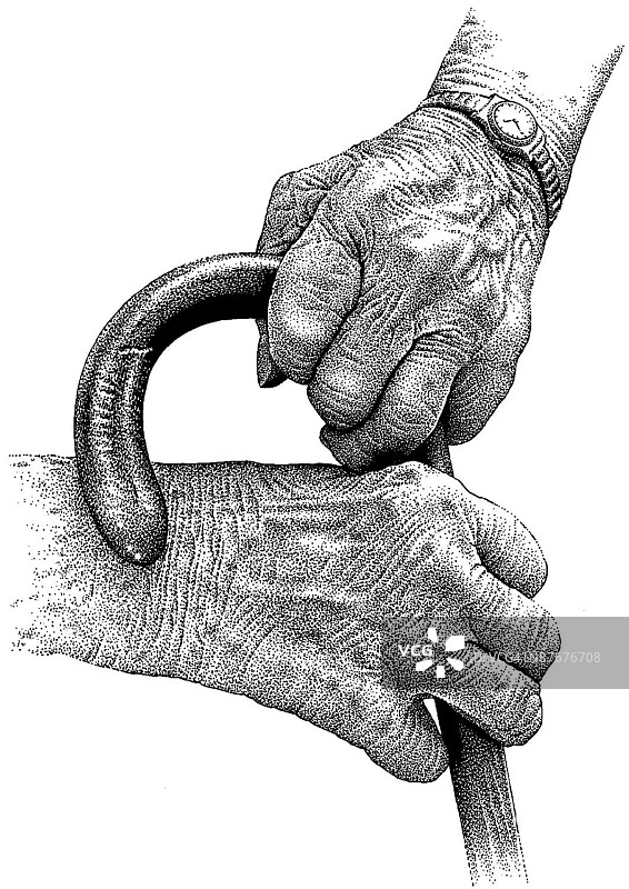 LiquidLibrary图片素材