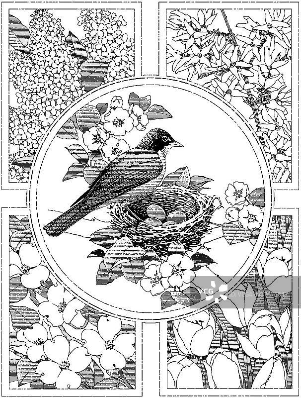 LiquidLibrary图片素材